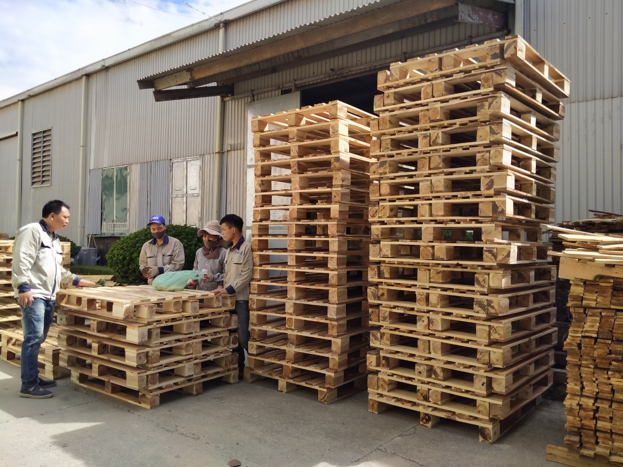 Pallet gỗ giá rẻ- Sản xuất số lượng lớn